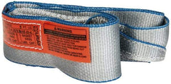Lift-All - 5' Long x 3" Wide, 4,800 Lb Vertical Capacity, 1 Ply, Polyester Web Sling - 3,800 Lb Choker Capacity - Apex Tool & Supply