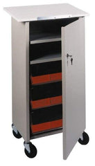 Lockwood Mfg. - 24 Inches Wide x 44 Inches High x 16 Inches Deep Portable Multi-Task Stand - With Door - Apex Tool & Supply