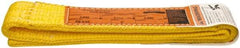 Made in USA - 3' Long x 2" Wide, 4,640 Lb Vertical Capacity, 2 Ply, Nylon Web Sling - 3,715 Lb Choker Capacity - Apex Tool & Supply