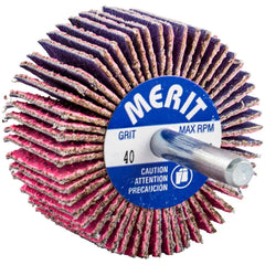 Merit Abrasives - Mounted Flap Wheels Abrasive Type: Coated Outside Diameter (Inch): 2 - Apex Tool & Supply