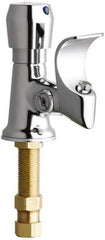 Chicago Faucets - Drinking Fountain - Push Button Operated Bubbler, Brass - Apex Tool & Supply