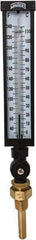 Winters - 30 to 240°F, Industrial Thermometer with Standard Thermowell - 3 Inch Immersion Length, 3-1/2 Inch Stem Length, 17 Inch Long, 3/4 Inch Thread - Apex Tool & Supply