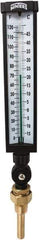 Winters - -15 to 120°F, Industrial Thermometer with Standard Thermowell - 3 Inch Immersion Length, 3-1/2 Inch Stem Length, 17 Inch Long, 3/4 Inch Thread - Apex Tool & Supply