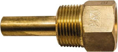 Winters - 3-1/2 Inch Overall Length, 3/4 Inch Thread, Brass Thermowell - 1-3/8 Inch Insertion Length - Apex Tool & Supply