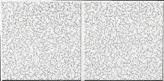 Armstrong World - 48" Long x 24" Wide, Wet-Formed Mineral Fiber Acoustic Ceiling Tile - ASTM E1264 Specification, White - Apex Tool & Supply