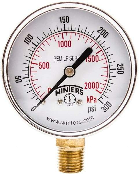 Winters - 2-1/2" Dial, 1/4 Thread, 0-300 Scale Range, Pressure Gauge - Lower Connection Mount, Accurate to 3-2-3% of Scale - Apex Tool & Supply