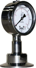 Winters - 2-1/2" Dial, 2 Thread, 0-60 Scale Range, Pressure Gauge - Lower Connection Mount, Accurate to 1.5% of Scale - Apex Tool & Supply