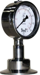 Winters - 2-1/2" Dial, 2 Thread, 0-160 Scale Range, Pressure Gauge - Lower Connection Mount, Accurate to 1.5% of Scale - Apex Tool & Supply