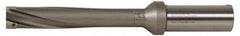 Kennametal - Series KSEM Plus, Head Connection FDS56, 5xD, 50.8mm Shank Diam, Drill Body - SSF Toolholder, 484.6mm OAL, 15.08" Drill Body Length, 11.02" Flute Length, Whistle Notch Shank, Through Coolant - Apex Tool & Supply