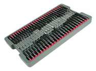 51PC PRECISION DRIVERS TRAY SET - Apex Tool & Supply