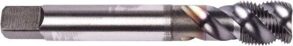 Union Butterfield - M10x1.25 Metric Fine 3 Flute 6H Modified Bottoming Spiral Flute Tap - Powdered Metal, TiCN Finish, 100mm OAL, Right Hand Flute, Right Hand Thread, Series 1679 - Apex Tool & Supply