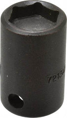 Proto - 3/8" Drive 13mm Standard Magnetic Impact Socket - 6 Points, 1-3/16" OAL - Apex Tool & Supply