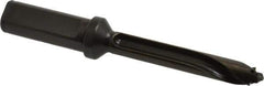 Allied Machine and Engineering - Series 13, 13 to 13.99mm Diam, 3/4" Diam Straight Shank with Flange, Straight Flute Spade Drill - 2-49/64" Max Depth, 3-53/64" Body Length, 5-55/64" OAL, Standard Length, Through Coolant - Apex Tool & Supply