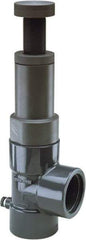 Hayward - 3/4" Pipe, Threaded Ends, PVC Pressure Regulating Valve - FPM Seal, 5 to 75 psi - Apex Tool & Supply