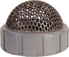 Hayward - 1-1/2" Hose, Foot Valve - CPVC - Apex Tool & Supply