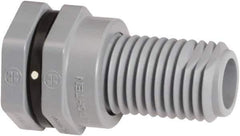 Hayward - 1/2" CPVC Plastic Pipe Bulkhead Tank Adapter - Schedule 80, Thread x Thread End Connections - Apex Tool & Supply