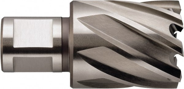 Fein - 3/4" Diam x 1" Deep High Speed Steel Annular Cutter - Apex Tool & Supply