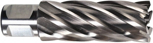 Fein - 3/4" Diam x 2" Deep High Speed Steel Annular Cutter - Apex Tool & Supply