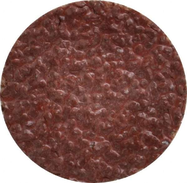 Tru-Maxx - 1" Disc Diam, 24 Grit, Aluminum Oxide Quick Change Disc - Type S Attaching System, Coated, Brown, Very Coarse Grade, 30,000 RPM - Apex Tool & Supply