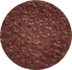 Tru-Maxx - 1" Disc Diam, 24 Grit, Aluminum Oxide Quick Change Disc - Type S Attaching System, Coated, Brown, Very Coarse Grade, 30,000 RPM - Apex Tool & Supply