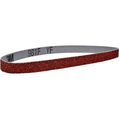 3M - 2" Wide x 48" OAL, 36 Grit, Ceramic Abrasive Belt - Ceramic, Coated, YF Weighted Cloth Backing, Series 981F - Apex Tool & Supply