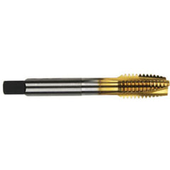 2090G SHEARTAP M6 × 1.00 - Apex Tool & Supply