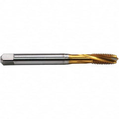Emuge - M2.5x0.45 Metric 0 Flute D3 2-3 P Spiral Flute Tap - Apex Tool & Supply