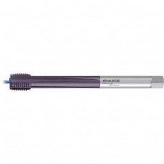 Emuge - Extension Taps Thread Size: M33x3.50 Overall Length (mm): 290.00 - Apex Tool & Supply