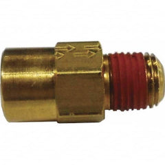 Control Devices - Check Valves Design: Check Valve Pipe Size (Inch): 1/4 x 1/4 - Apex Tool & Supply