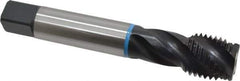 Emuge - 1-1/4 - 7 UNC 4 Flute 2B Modified Bottoming Spiral Flute Tap - Cobalt, Oxide Finish, 7.087" OAL, Right Hand Flute, Right Hand Thread, Series Enorm-VA - Apex Tool & Supply