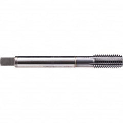 Emuge - Thread Forming STI Taps Thread Size (Inch): 1/2-20 Class of Fit: 2B - Apex Tool & Supply