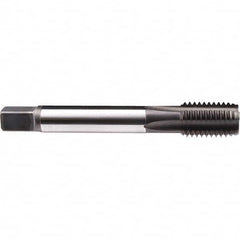 Emuge - 1-1/4 - 8 UN-8 2B 0 Flute Nitride Finish Cobalt Machine Tap - Apex Tool & Supply