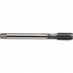 Emuge - M16x1.50 Metric Fine 6H 0 Flute TiCN Finish Powdered Metal Machine Tap - Apex Tool & Supply