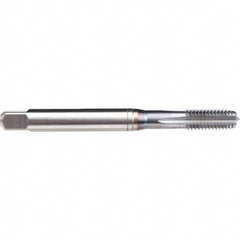 Emuge - M16x2.00 Metric 6H 0 Flute TiCN Finish Powdered Metal Machine Tap - Apex Tool & Supply