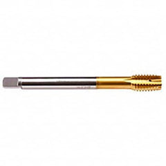 Emuge - M10x1.25 Metric Fine 6HX 4 Flute TiN Finish HSS-E Spiral Point Tap - Apex Tool & Supply