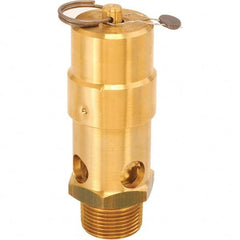 Control Devices - 1" Inlet, ASME Safety Valve - Apex Tool & Supply