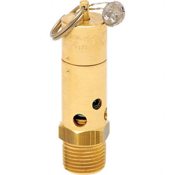 Control Devices - 1/2" Inlet, ASME Safety Valve - Apex Tool & Supply