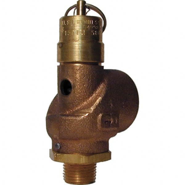 Control Devices - 1/2" Inlet, 3/4" Outlet, ASME Safety Valve - Apex Tool & Supply