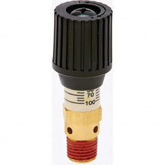 Control Devices - 1/4" Inlet, ASME Safety Valve - Apex Tool & Supply