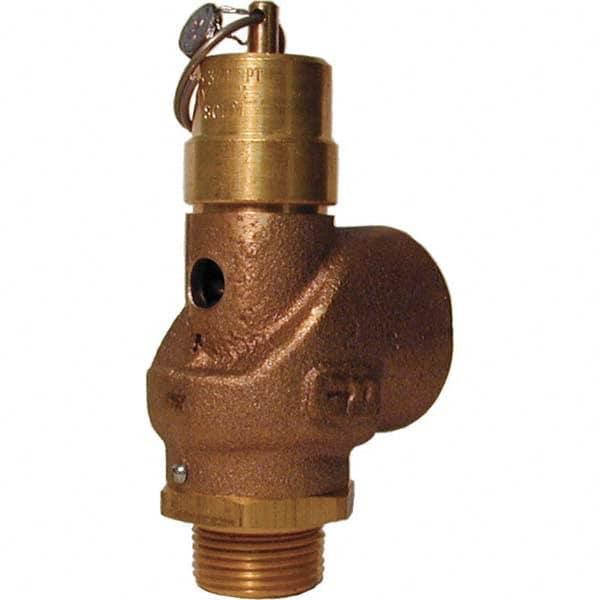 Control Devices - 3/4" Inlet, 1" Outlet, ASME Safety Valve - Apex Tool & Supply