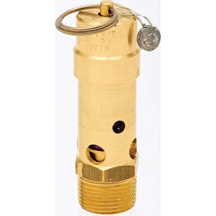 Control Devices - 3/4" Inlet, ASME Safety Valve - Apex Tool & Supply