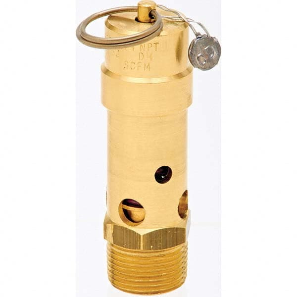 Control Devices - 3/4" Inlet, ASME Safety Valve - Apex Tool & Supply