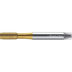 Walter-Prototyp - M4x0.70 DIN 2174 6GX 3.700 Thread Limit Semi-Bottoming Thread Forming Tap - Powdered Metal High Speed Steel, TiN Finish, 64.87mm OAL, 7mm Thread Length, Right Hand Thread, Series TC420 - Apex Tool & Supply