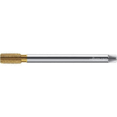 Walter-Prototyp - M10x1.50 ~DIN 376 XL 6HX 9.370 Thread Limit Semi-Bottoming Thread Forming Tap - Powdered Metal High Speed Steel, TiN Finish, 200mm OAL, 15mm Thread Length, Right Hand Thread, Series TC420 - Apex Tool & Supply