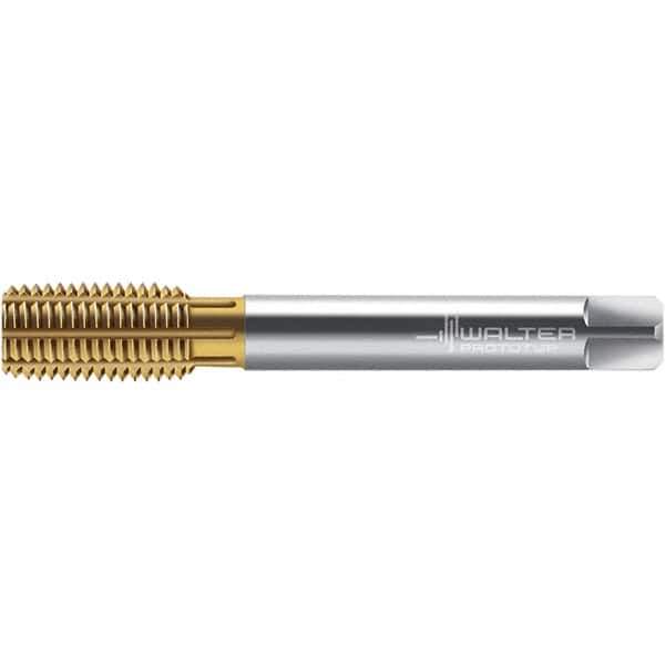 Walter-Prototyp - M16x2.00 DIN 2174 6GX 15.160 Thread Limit Semi-Bottoming Thread Forming Tap - Powdered Metal High Speed Steel, TiN Finish, 110mm OAL, 20mm Thread Length, Right Hand Thread, Series TC430 - Apex Tool & Supply