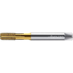 Walter-Prototyp - M8x1.25 DIN 2174 6HX 7.490 Thread Limit Semi-Bottoming Thread Forming Tap - Powdered Metal High Speed Steel, TiN Finish, 90mm OAL, 12mm Thread Length, Right Hand Thread, Series TC430 - Apex Tool & Supply