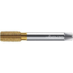 Walter-Prototyp - M8x1.00 DIN 2174 6HX 7.590 Thread Limit Semi-Bottoming Thread Forming Tap - Powdered Metal High Speed Steel, TiN Finish, 90mm OAL, 12mm Thread Length, Right Hand Thread, Series TC420 - Apex Tool & Supply