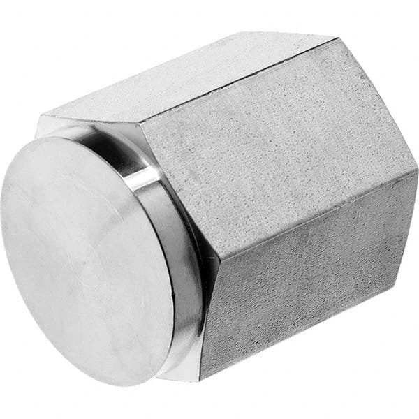 USA Sealing - 1/4" 316 Stainless Steel Pipe Hex Cap - Apex Tool & Supply