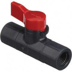 Asahi/America - 1/4" Pipe, Full Port, PVC Ball Valve - 1 Piece, FNPT x FNPT Ends, Tee Handle, 150 WOG - Apex Tool & Supply