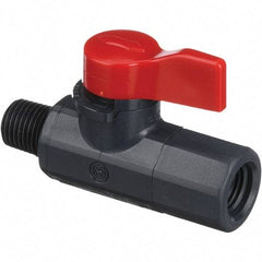 Asahi/America - 1/4" Pipe, Full Port, PVC Ball Valve - 1 Piece, MNPT x FNPT Ends, Tee Handle, 150 WOG - Apex Tool & Supply